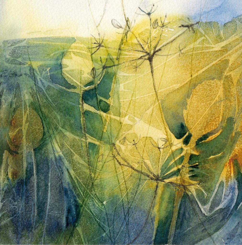 A Tangle of Teasels original print by Jackie Henderson