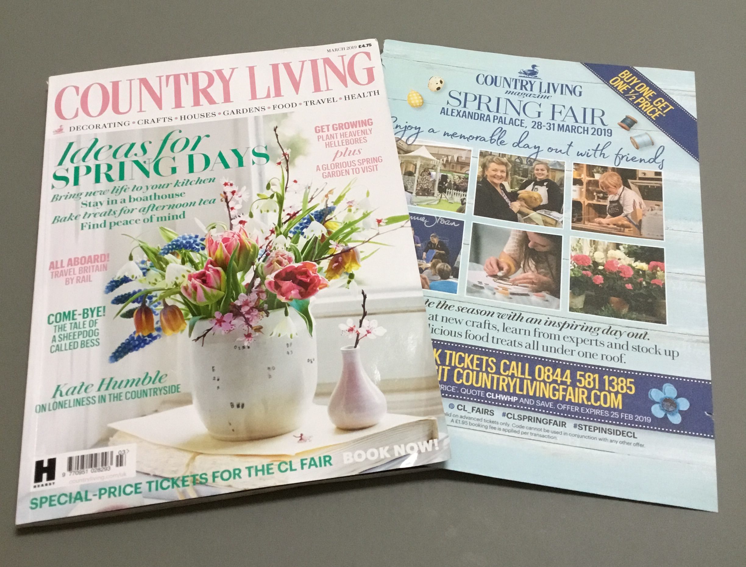 Read more about the article Country Living Fair